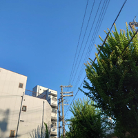 画像1130