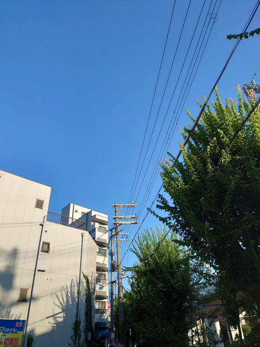 画像1130