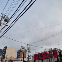 画像1146