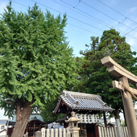 画像1160