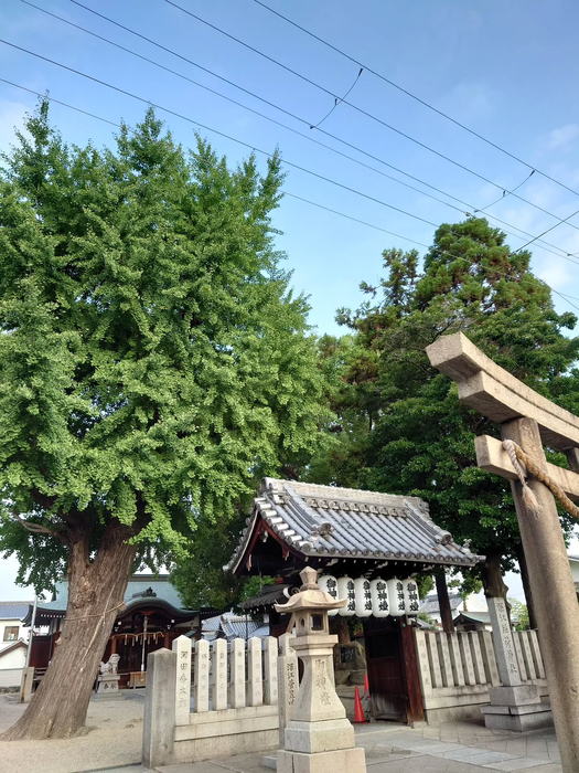 画像1160