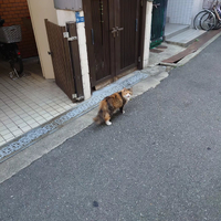 画像1174