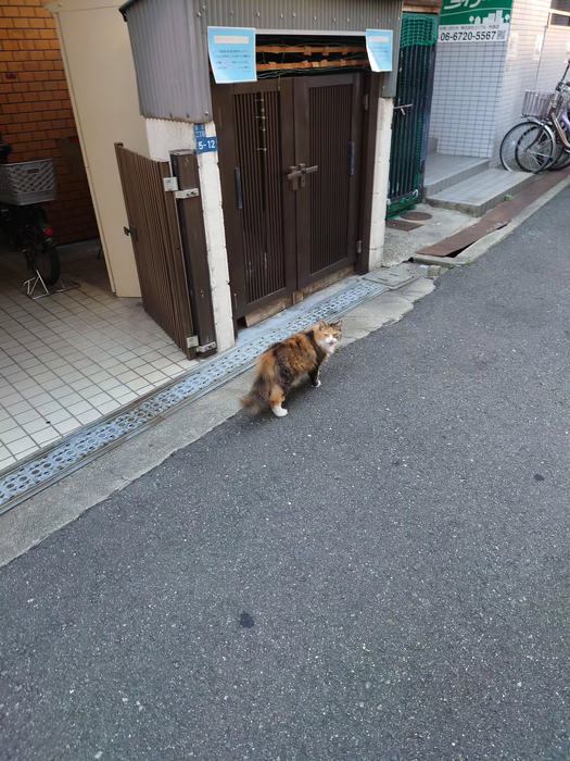 画像1174