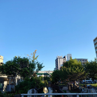 画像1176