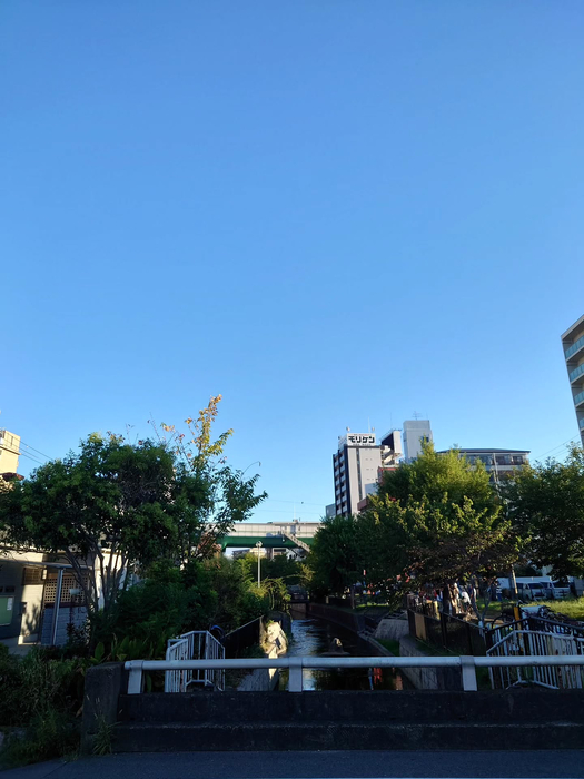 画像1176