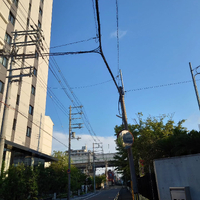 画像1228