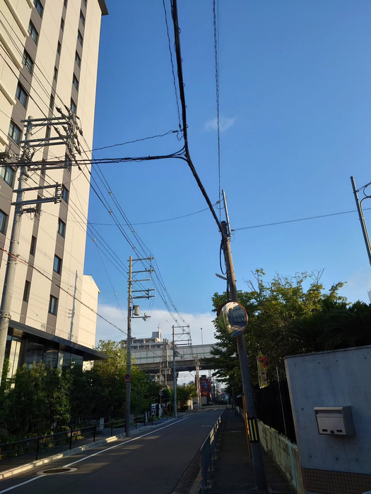 画像1228