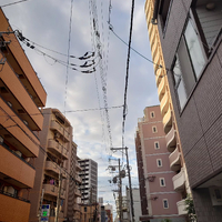 画像1232
