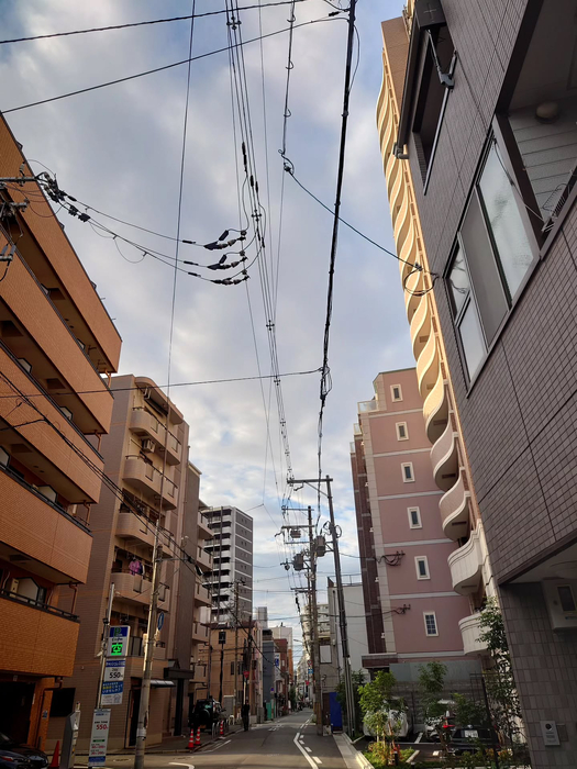 画像1232