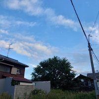 画像1234