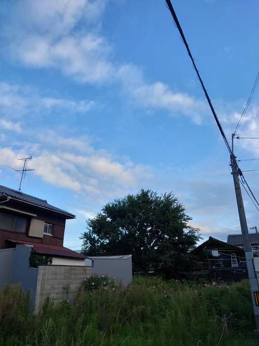 画像1234