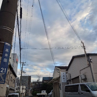 画像1238