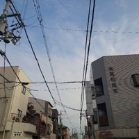 画像1242
