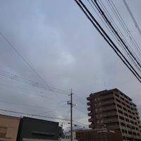 画像1250