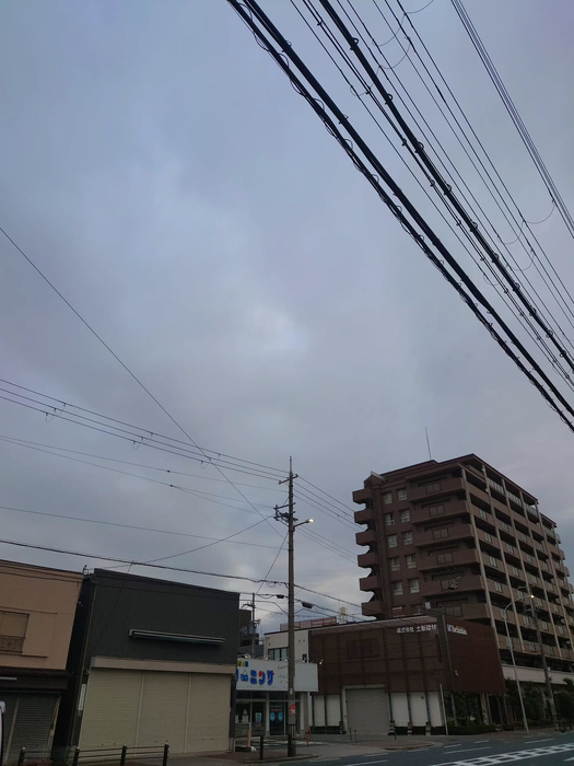 画像1250