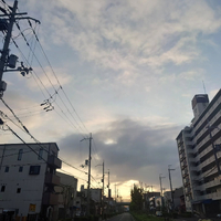 画像1254