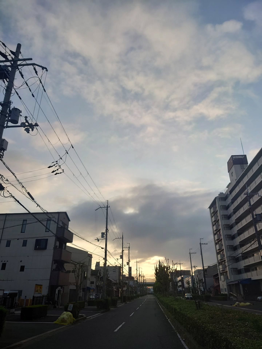 画像1254