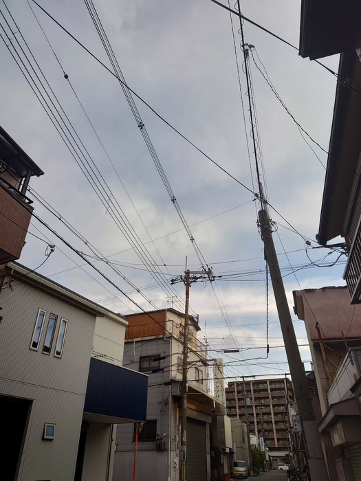 画像1264