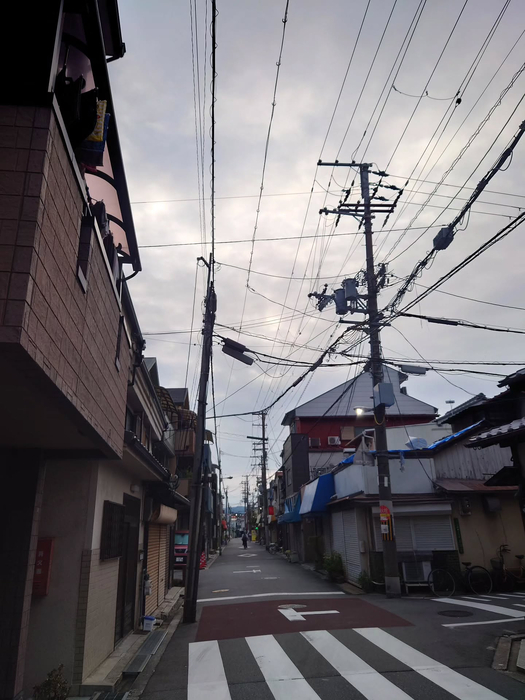 画像1278