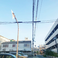 画像1288