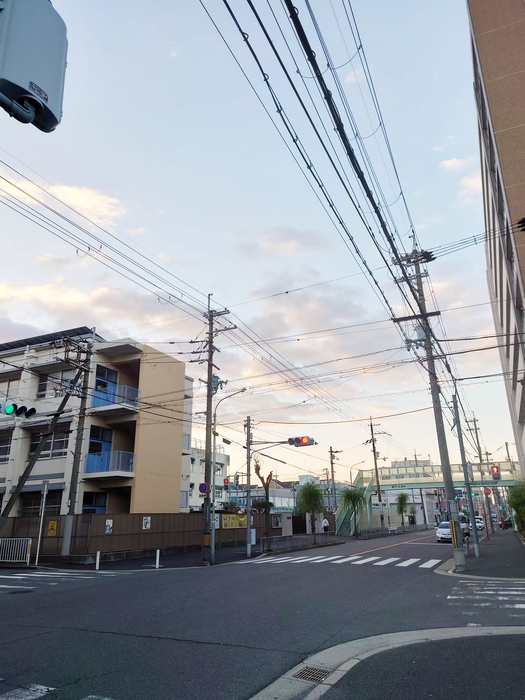 画像1354