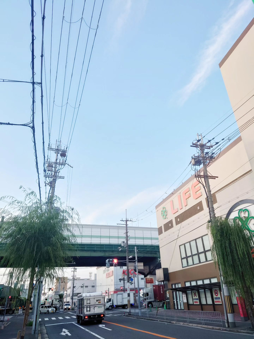 画像1386