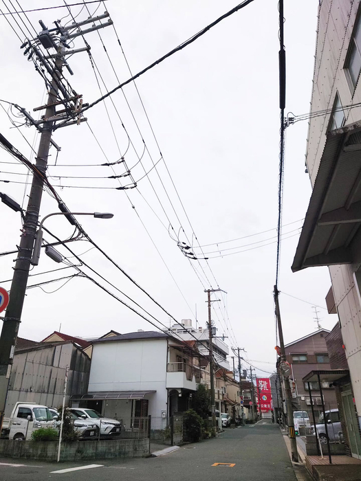 画像1390