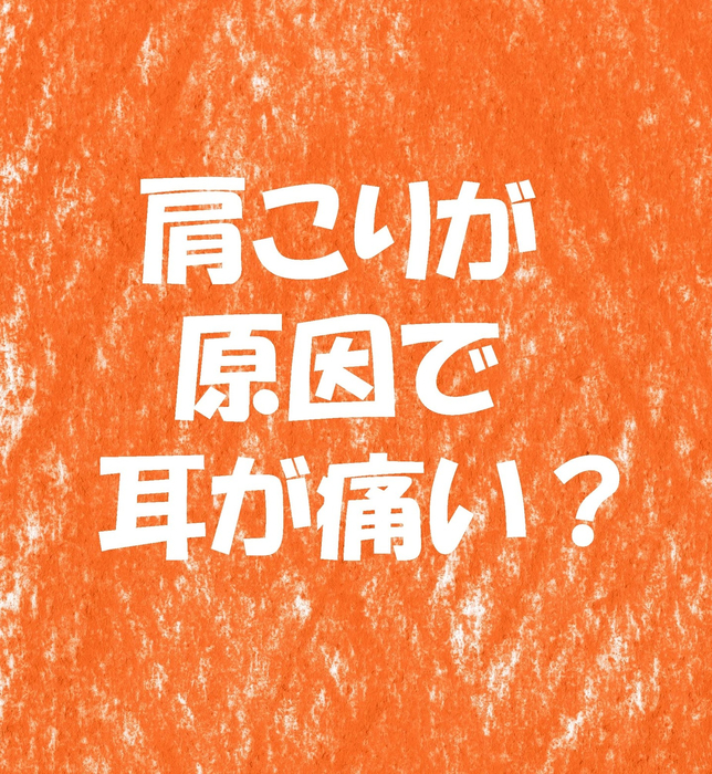 画像1428