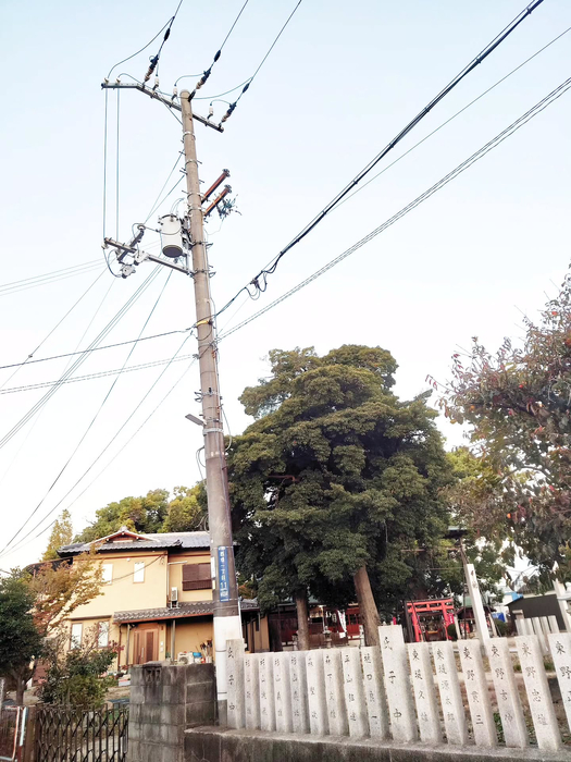 画像1448
