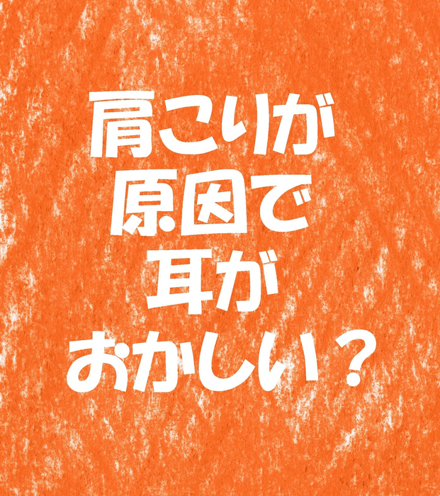 画像1460