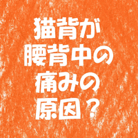 画像1474
