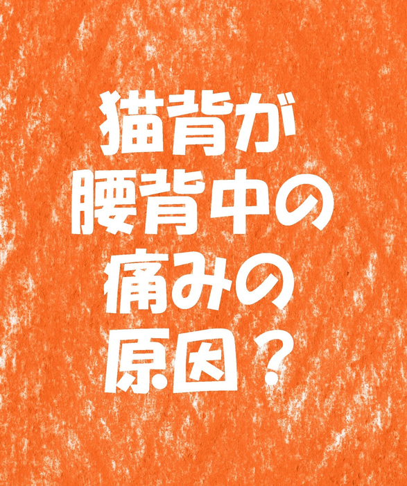 画像1474