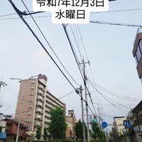 画像1498