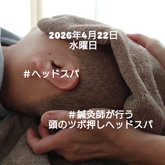 画像1786