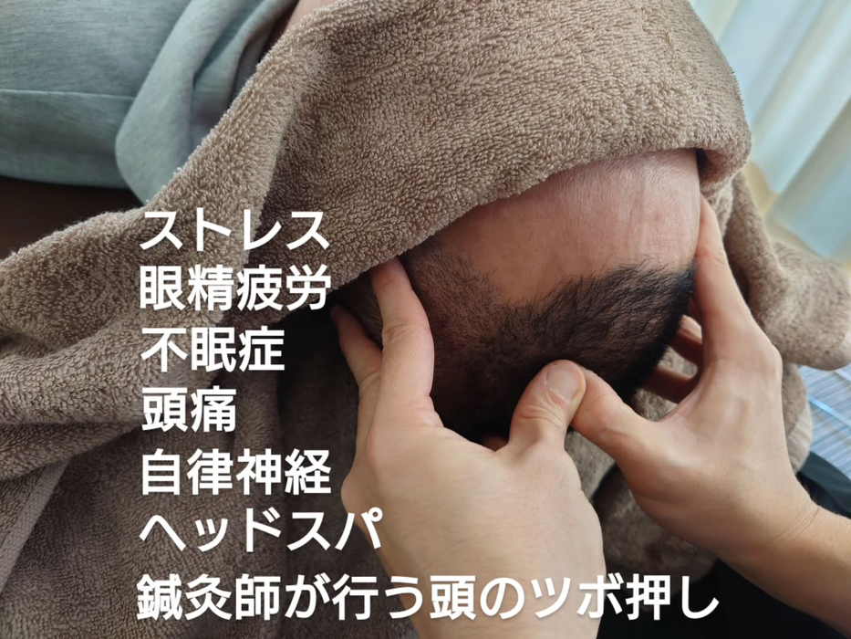 画像1804