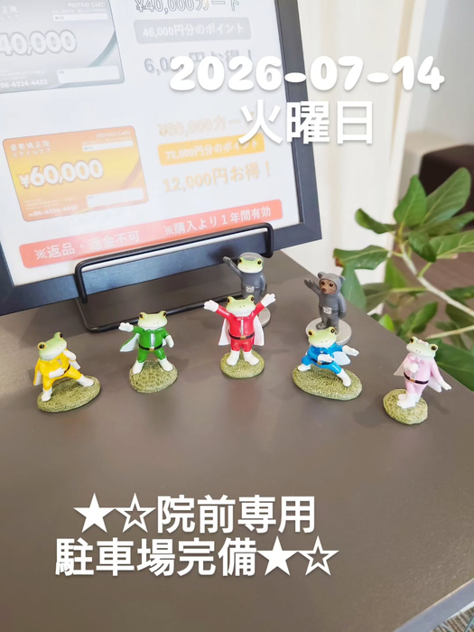 画像1993