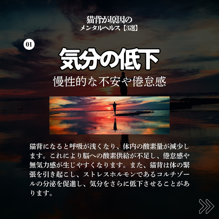 画像248