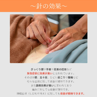 画像509