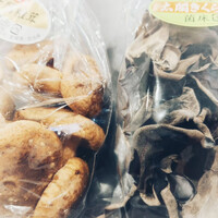 画像620