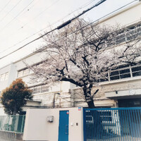 画像630