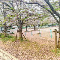 画像648
