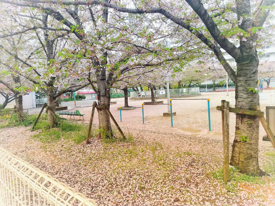 画像648