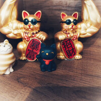 画像656
