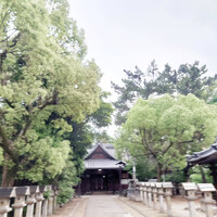 画像716