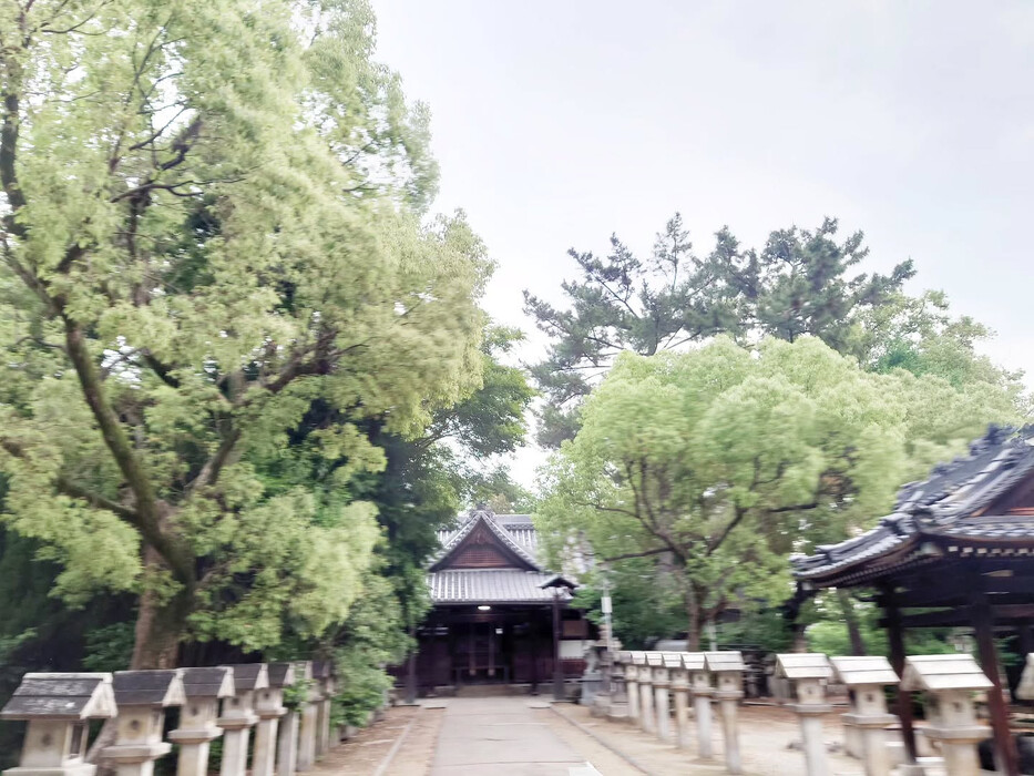 画像716