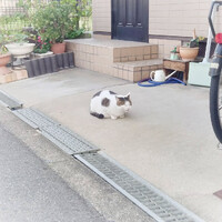 画像764