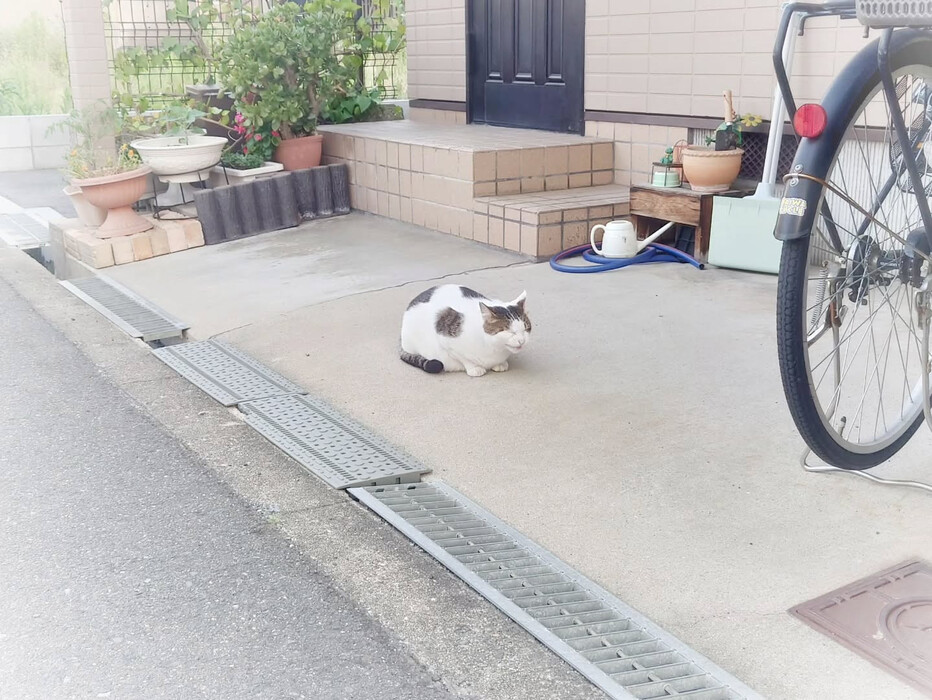 画像764