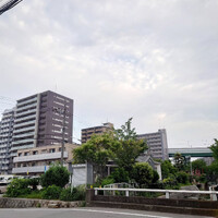 画像804