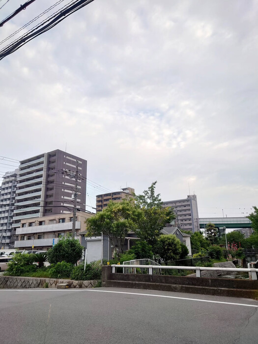 画像804