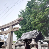 画像808